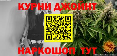 сатива Заволжье